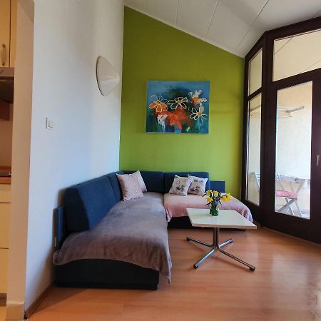 Janja Apartment Novigrad Istria Eksteriør billede