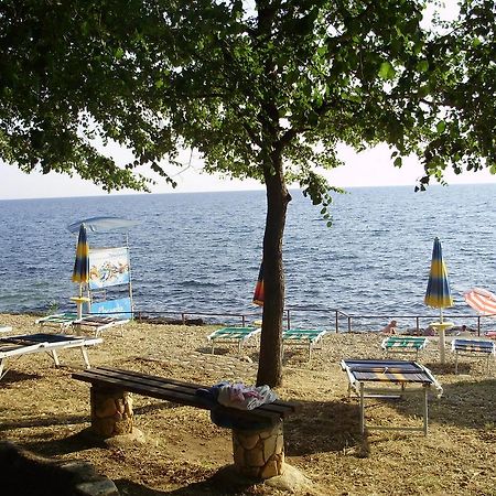Janja Apartment Novigrad Istria Eksteriør billede