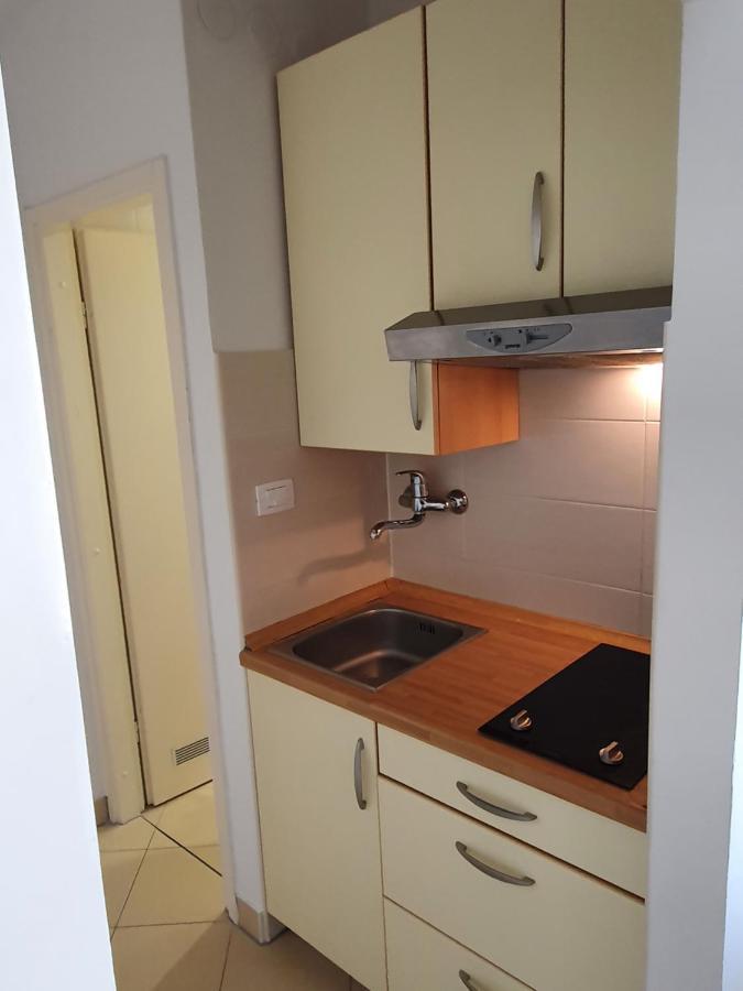 Janja Apartment Novigrad Istria Eksteriør billede