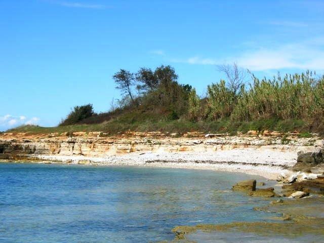 Janja Apartment Novigrad Istria Værelse billede